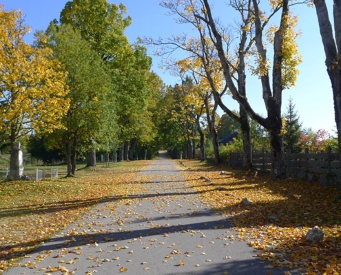 Bucherser-Dorfstrasse