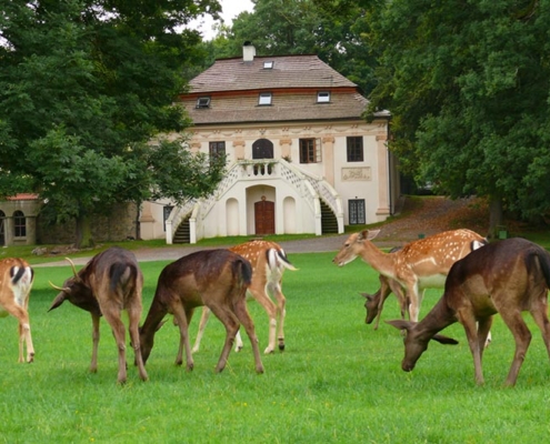 Schlosspark-Blatná