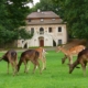 Schlosspark-Blatná